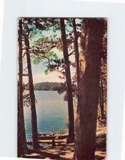 Postcard Big Timber On Lake Shore picture