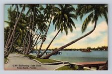 Palm Beach FL-Florida, Enchanting Lake Trail, Antique, Vintage Souvenir Postcard picture