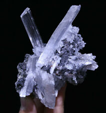 189g Beauty Rare Gypsum Mineral Crystal Specimen/China  A0653 picture