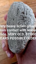 Collectable Heavy LICHEN PALEOLITHIC STONE TOOL. DNA. Usa Native. Nice Grips OLD picture