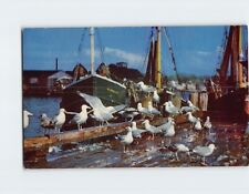 Postcard Feast of the Gulls picture