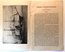 DEPARTMENT OF FISHERIES 1907 WHALEBONE: Its Production and Utilization First Ed. picture