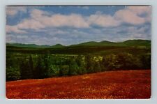 Rangeley ME-Maine, Scenic View, Vintage Postcard picture