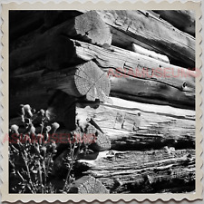 50s GREAT FALLS MONTANA CASCADE COUNTY LOG CABIN MAN VINTAGE USA Photo 10028 picture