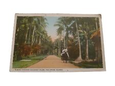 Vintage Postcard Cocoanut Palms Islands PHILIPPINES Education Co. 3.5