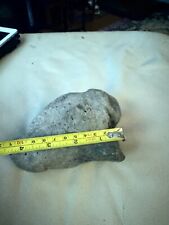 Tricertops nose horn fossil( juvenile)  solid, no repair,  picture