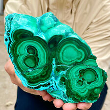 2.3LB  Natural tortoise Malachite transparent cluster coarse mineral sample picture