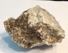 Rare Parsettensite Cabinet Specimen Old Foote Lithium Mine Kings Mountain, NC picture