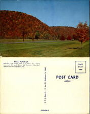 Autumn trees near Elliston Virginia Interstate 81 and Route 460 chrome 1970s picture