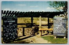 Hassayampa River Well Wickenburg Arizona AZ VTG Postcard c1950  D9 picture
