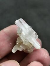  Beryllonite (rare sodium beryllium phosphate) thumbnail specimen-pak. 