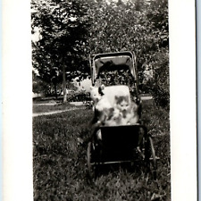 c1910s Adorable Kittens Stroller RPPC Cute Cats Animal Real Photo Outdoors A259 picture