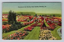 Hershey PA-Pennsylvania, Terraces of Hershey Rose Garden, Vintage Postcard picture