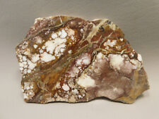 Wild Horse Polished Stone Slab Magnesite Arizona Rock #O11 picture