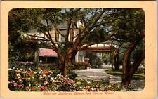 Look At California Home In Winter Vintage Souvenir Postcard picture