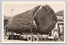 Western Washington Fir Log Men Standing by Semi Trailer Real Photo RPPC Postcard picture