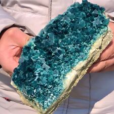3.15lb Natural Green cubic Fluorite Crystal Cluster mineral sample healing picture