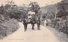 St Ann Jamaica Blue Mountain Coffee Plantation Farm Wagon Mule Vtg Postcard A11 picture