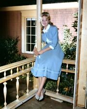 Hayley Mills sits on porch in blue outfit 1960's 24x36 Poster picture