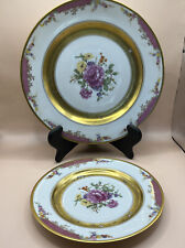 Rosenthal Queens Rose 6 Dinner  Plates 6 Salad Plates 12 Pieces Total picture