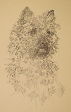 Cairn Terrier Dog Art Portrait Print #55 Kline adds dog name free. WORD DRAWING picture