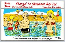 Shangri-La Chaumont Bay Inc. Three Mile Bay New York Comic c1950s Postcard picture