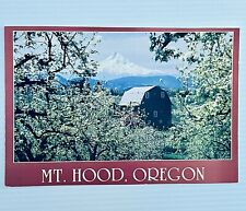 Oregon OR Apple Blossom Time Mt Hood Postcard Old Vintage Card View picture