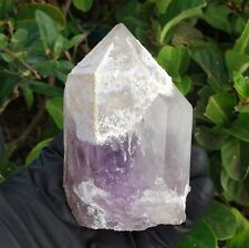+ Huge Amethyst Goboboseb Brandberg Namibia Quartz Point Phantom Crystal 10.8 cm picture