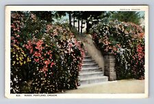 Portland OR-Oregon, Roses, Antique, Vintage Souvenir Postcard picture