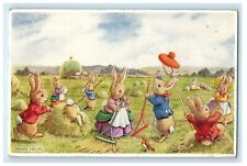 1955 Anthropomorphic Dress Rabbit At Field Rake Grass Racey Helps Postcard picture