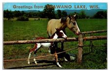Greetings From Shawano Lake, Wisconsin Postcard picture