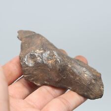191g Gebel Kamil Iron Meteorite Space Gift A1604 picture