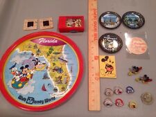 18 Piece Disney Florida Platter picture