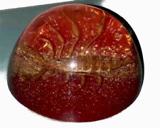 Vintage Large Lucite Paper Weight Real Scorpion ￼ Fun picture