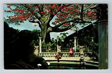 Clearwater FL-Florida, The Kapok Tree Inn  Vintage Souvenir Postcard picture
