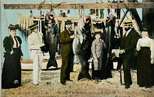 Early 1900's Grouper Deep Sea Fishing Catch Fish Ocean Dock Boats Postcard picture