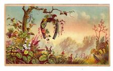c1890's Trade Card Horse-Shoe Hanging From a Tree picture
