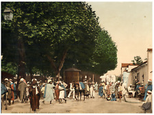 Blidah. Arab Market. Vintage Photochromy PZ, Algeria Photochromy, Vintage P picture