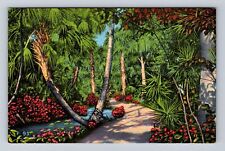 Vero Beach FL-Florida, McKee Jungle Gardens Shrubbery, Vintage Souvenir Postcard picture