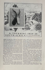 1899 A Trekking Trip in South Africa Dyer's Island Caledon Illustrated picture