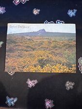 Haytor Vale Dartmoor Rock Formations England Cont Postcard Vtg picture