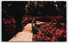 Postcard Florida's Cypress Gardens Bridge Walkway Flowers Posted Color 1957 picture
