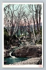 Berkshire Hills MA-Massachusetts, Rocks & Birches, Vintage Postcard picture