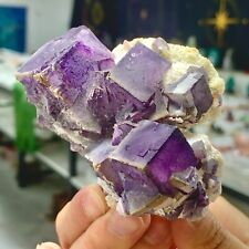 211G Natural purple cubic fluorite mineral crystal sample/China picture