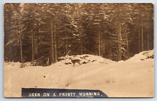 Real Photo RPPC Hunting - Deer Winter in Snow Vintage Postcard picture