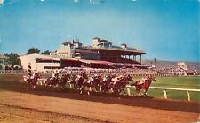 Vintage Postcard Caliente Race Track Tijuana. Mexico PM 1964 picture