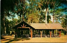 Vtg Postcard Ocala National Forest Florida FL Juniper Springs Recreation Area picture
