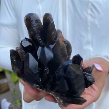 1.6lb Large Natural Black Smoky Quartz Crystal Cluster Rough Mineral Specimen picture