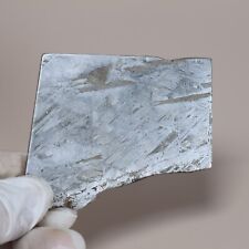 142g Muonionalusta meteorite,Natural meteorite slices,Collectibles,gift L139 picture