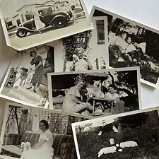 Vintage B&W Snapshot Photograph Wonderful Collection This Dogs Life Lot picture